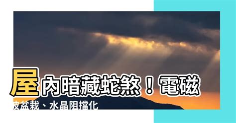 屋內蛇煞|【室外蛇煞】小心室外蛇煞！風水毒蛇煞危害大，教你。